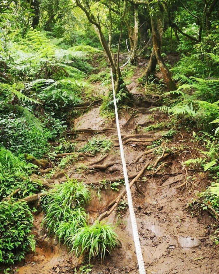 野跑陽明山大縱走路線