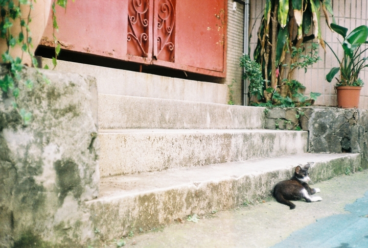[Konica C35 EF]在爵士廣場聽了鹿港小鎮[Kodak 200]