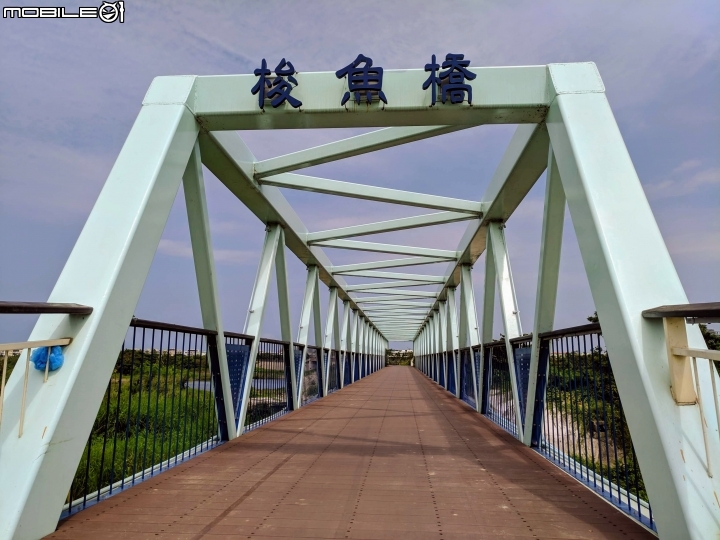 潺槁樹 台南市安平區湖濱水鳥公園 05/19