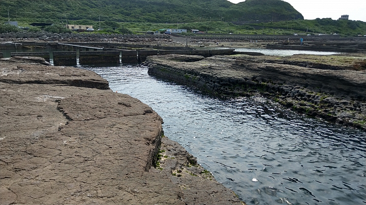 馬岡漁港浮潛秘境