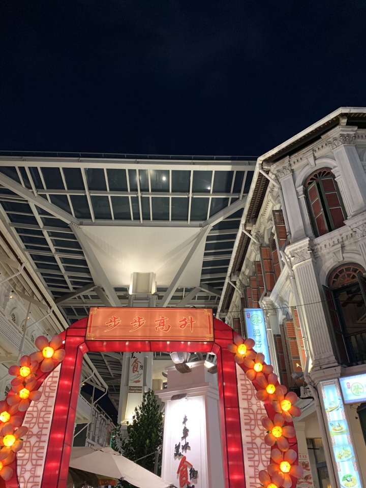 新加坡-牛車水-一個交通方便概念的城市