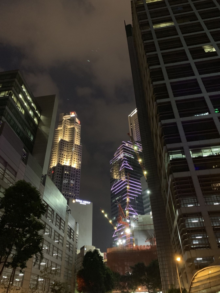 新加坡-牛車水-一個交通方便概念的城市