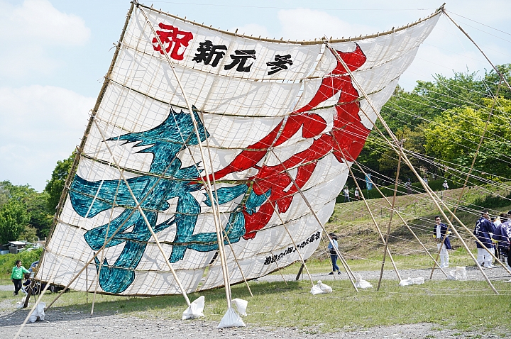【神奈川縣】令和初！日本最大！「大凧まつり」大風箏祭 