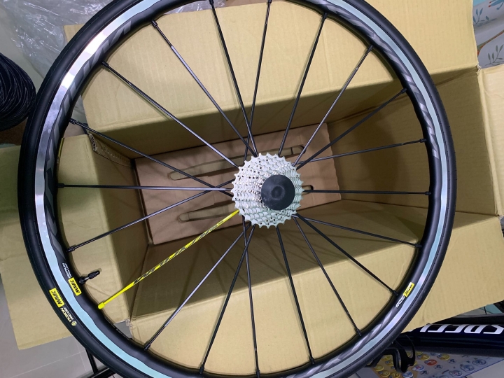 Mavic Ksyrium Pro UST 很喜歡它的棘輪聲