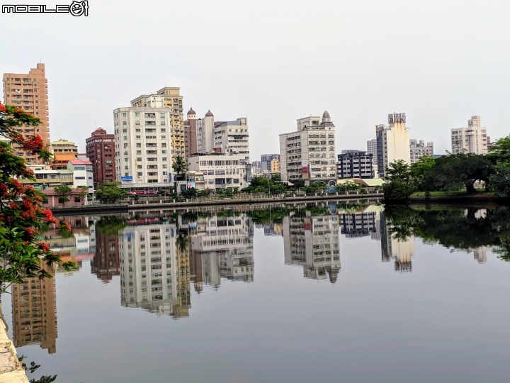 鳳凰花 台南市安平區 05/05