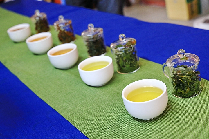 (映像旅行) 以春光佐茶，漫遊坪林 feat. Canon EOS R