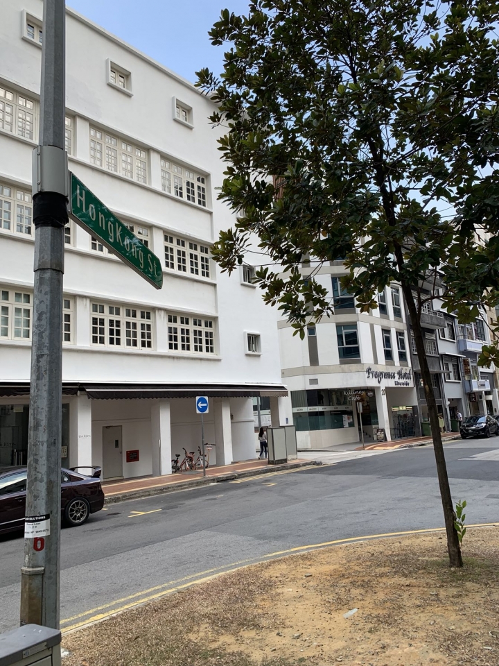 新加坡-牛車水-一個交通方便概念的城市