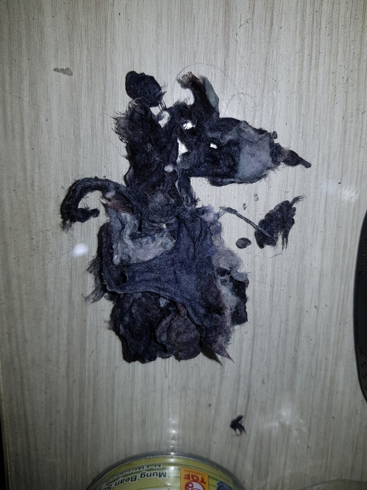 拆解提醒日立舊滾筒用戶注意烘乾管道，循環噴射出水口的棉絮清潔(附我家日立滾筒實際拆解內部管路棉絮實況影片)