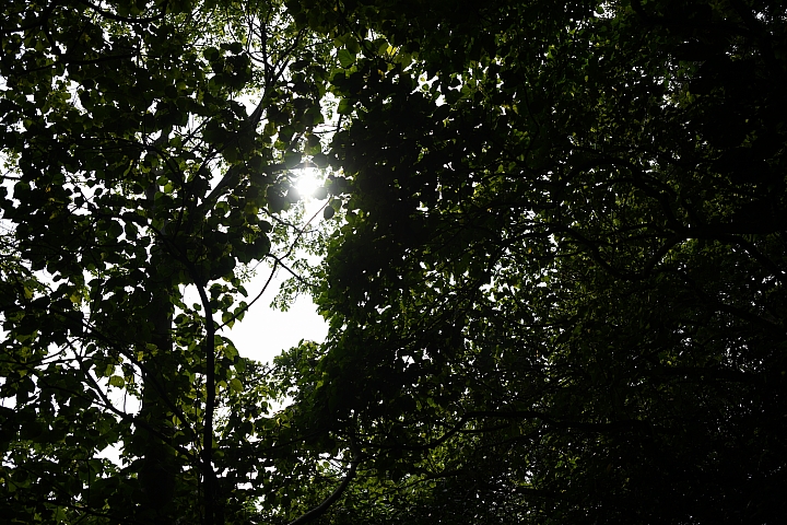 Tamron 35-150mm f/2.8-4 Di VC OSD（Model A043）小廣角至中望遠兼備 輕巧又不失畫質！