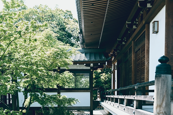 東京增上寺