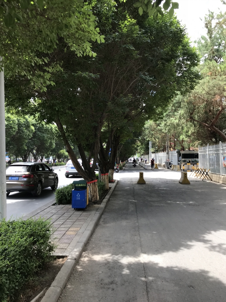 絲路騎行壯遊記 從敦煌到烏魯木齊