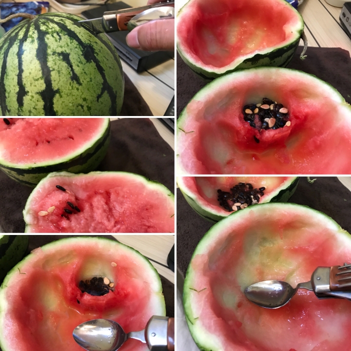 絲路騎行壯遊記 從敦煌到烏魯木齊