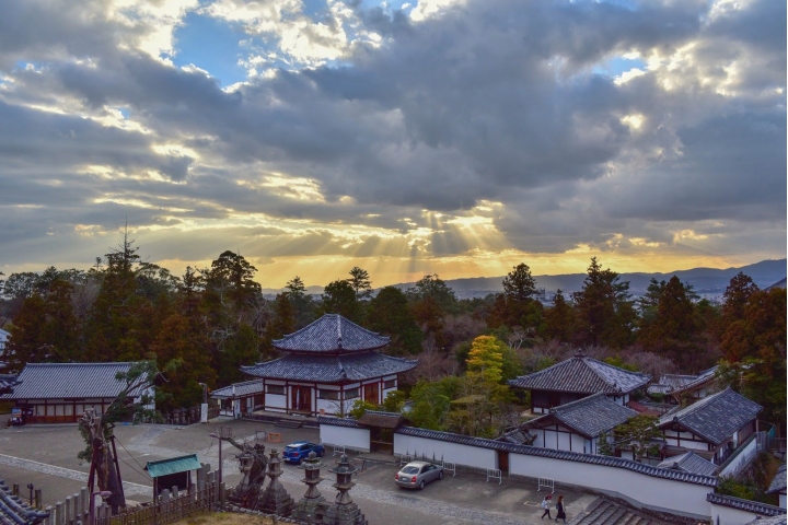 D750 京阪隨拍