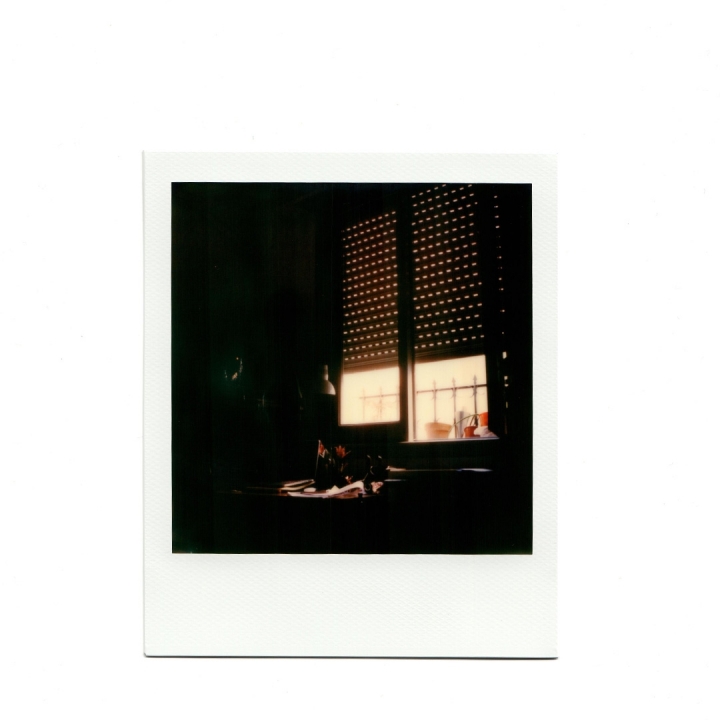 [分享]Nikon F3/ Polaroid SX70
