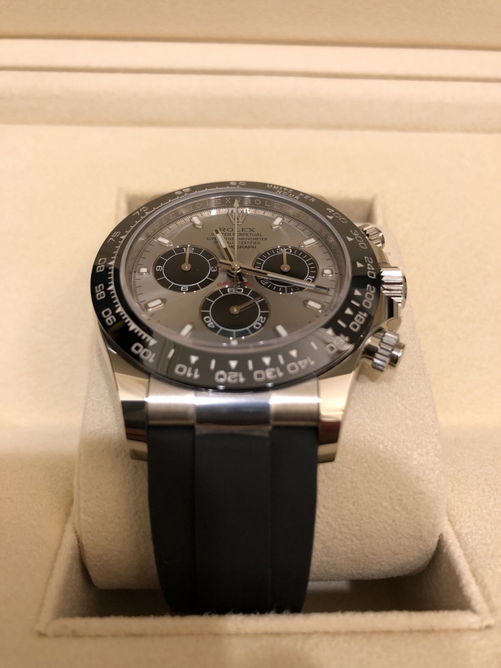 白金灰熊貓 Daytona 116519Ln 開箱