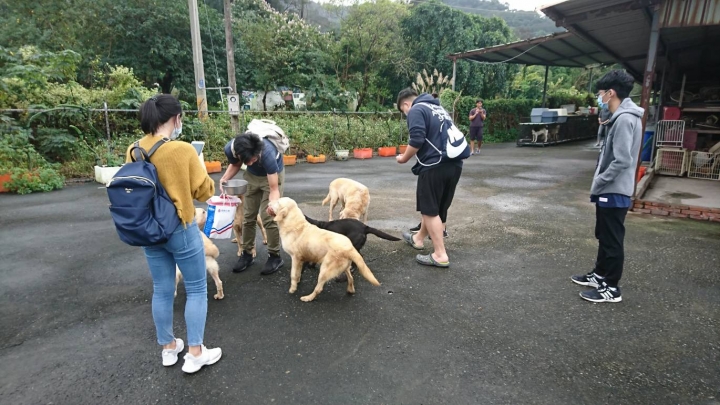 生肖屬虎的郭台銘董事長篤信媽祖和關公，同樣生肖屬虎的照生會董冠富執行長也篤信關公，都擁有自己的版圖