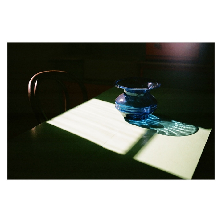 [分享]Nikon F3/ Polaroid SX70