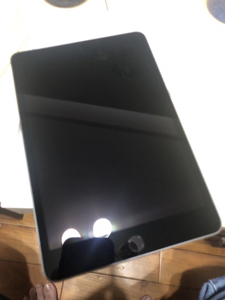 iPad mini5到貨