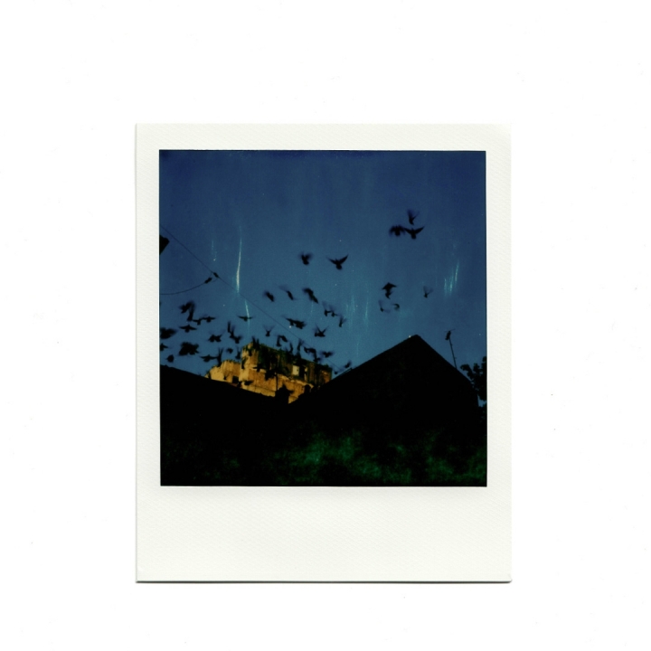 [分享]Nikon F3/ Polaroid SX70
