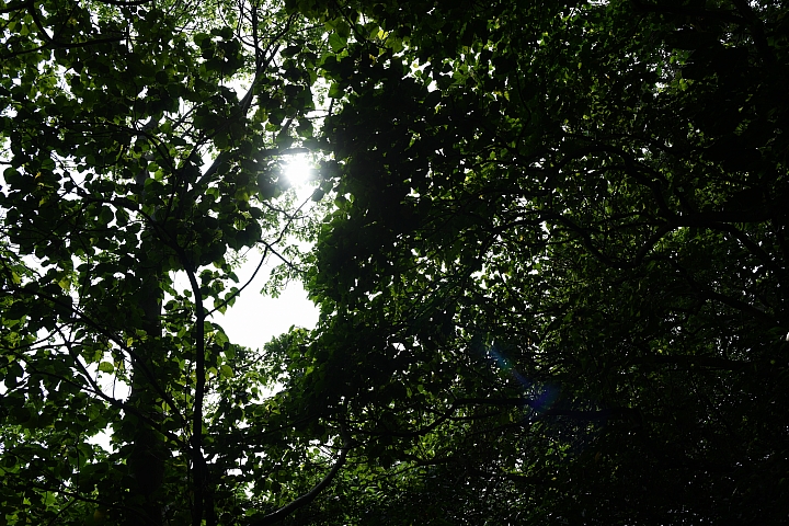 Tamron 35-150mm f/2.8-4 Di VC OSD（Model A043）小廣角至中望遠兼備 輕巧又不失畫質！