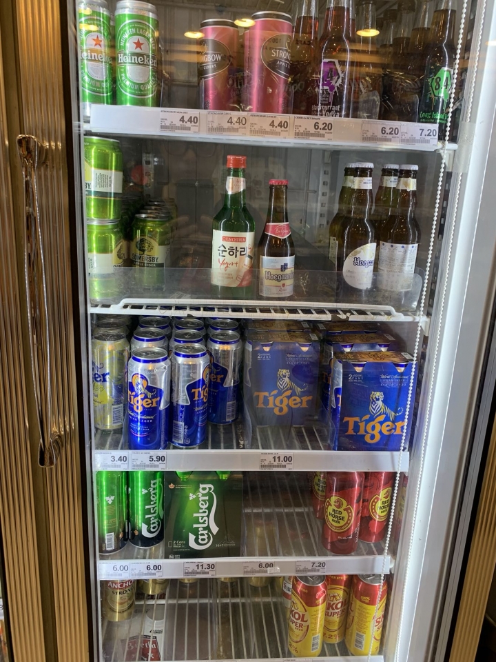 新加坡-牛車水-一個交通方便概念的城市