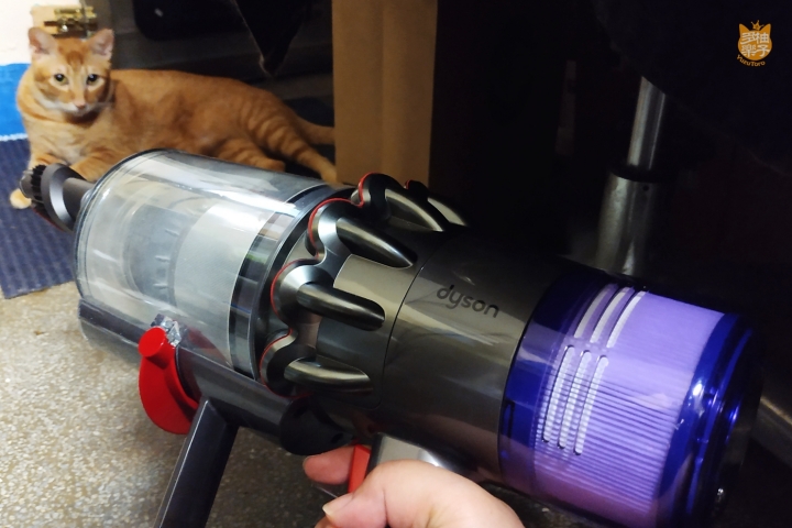 《Dyson V11™無線吸塵器》柚子多樂貓爺堂試用報告：看貓奴宅夫妻如何將貓毛、灰塵肆虐的老房子打掃乾淨