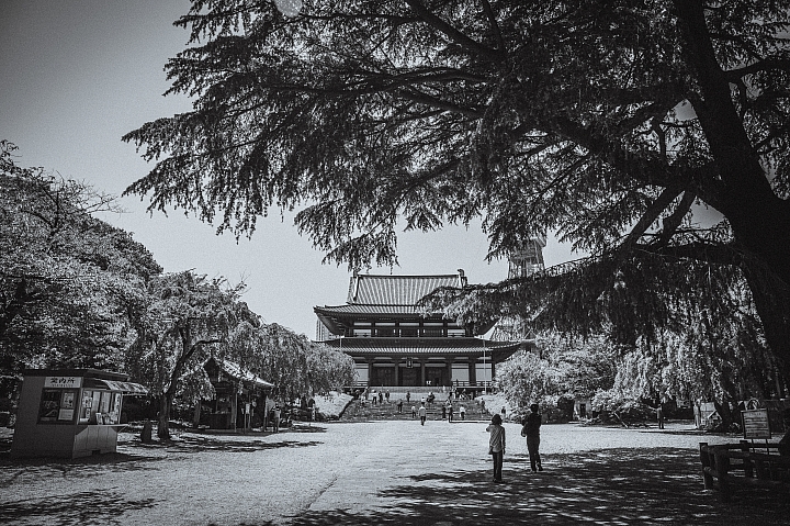 東京增上寺