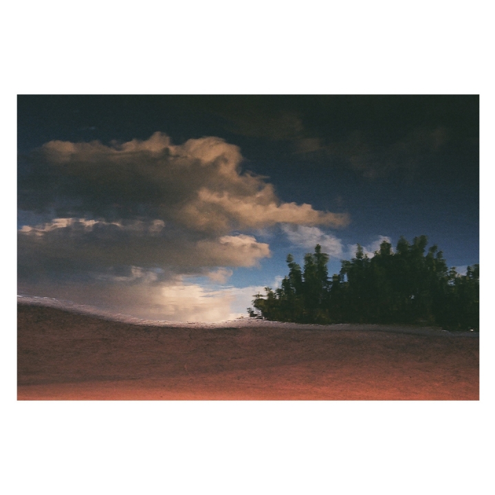 [分享]Nikon F3/ Polaroid SX70