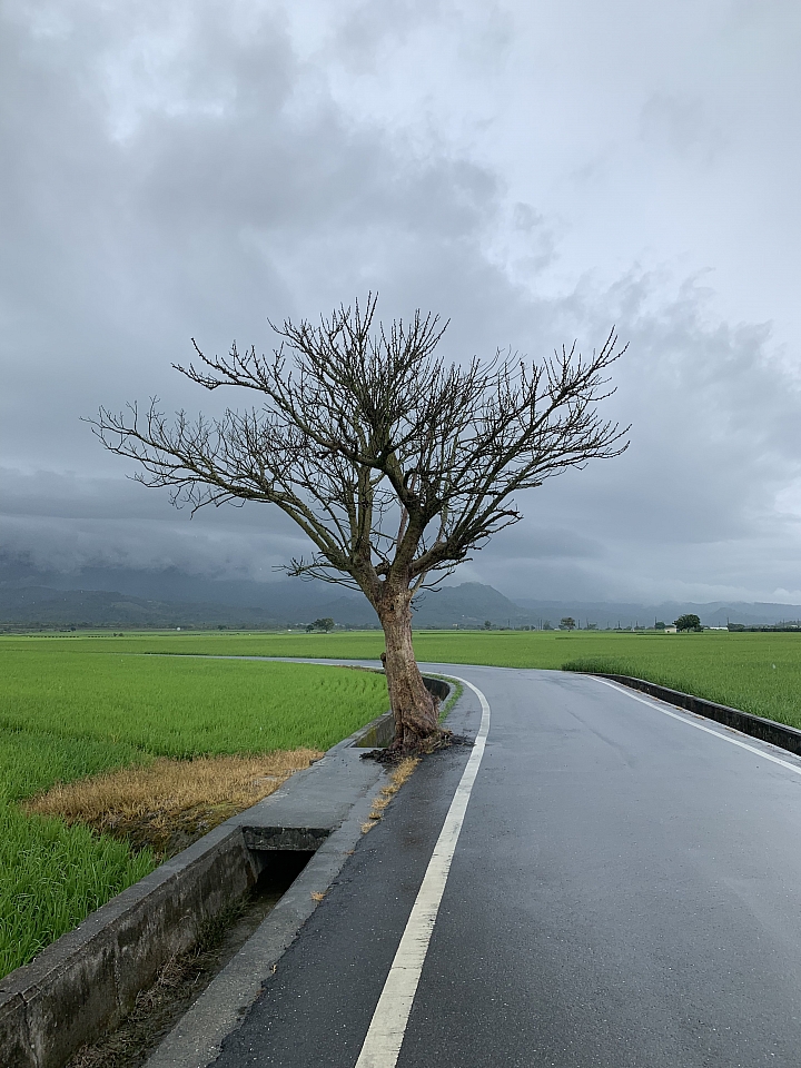 6天5夜 單人四極點機車環島行