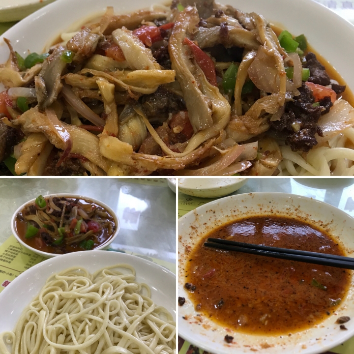 絲路騎行壯遊記 從敦煌到烏魯木齊