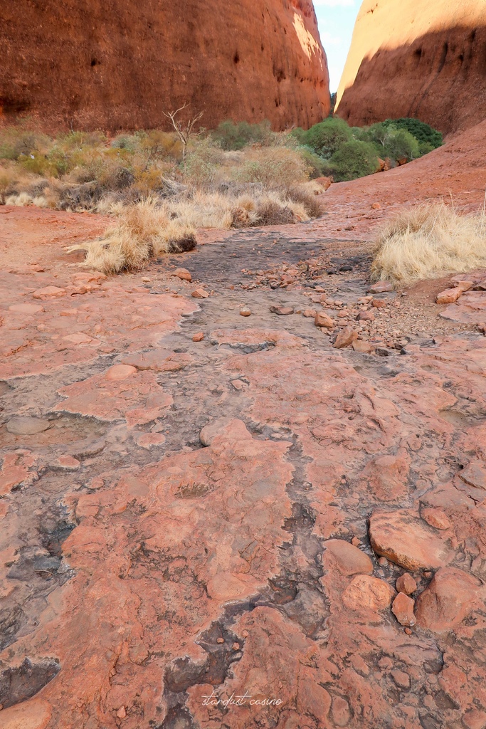 澳洲北領地自駕 Uluru烏魯魯的好朋友—卡塔丘塔瓦帕峽谷 WALPA GORGE