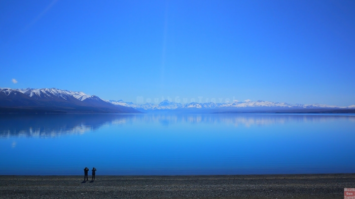 【紐西蘭●南島】Lake Pukaki湖往庫克山前的美麗湖景,High Country Salmon鮭魚養殖場