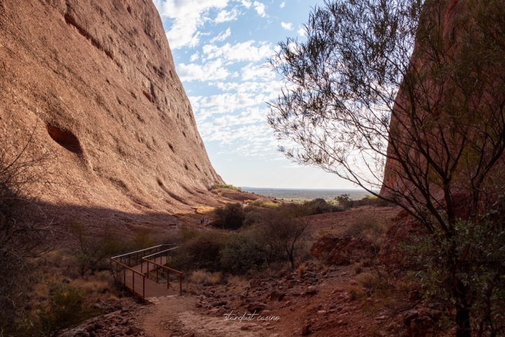澳洲北領地自駕 Uluru烏魯魯的好朋友—卡塔丘塔瓦帕峽谷 WALPA GORGE