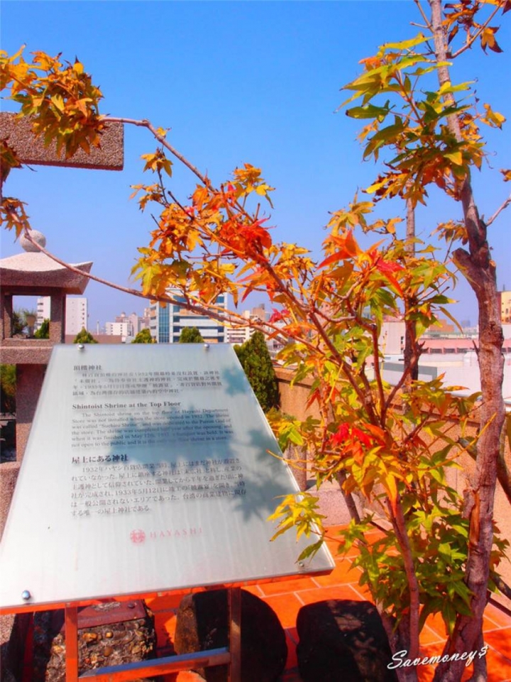 林百貨|台南必訪朝聖景點,全台唯一復古百貨公司 - 達人Emily的播報台