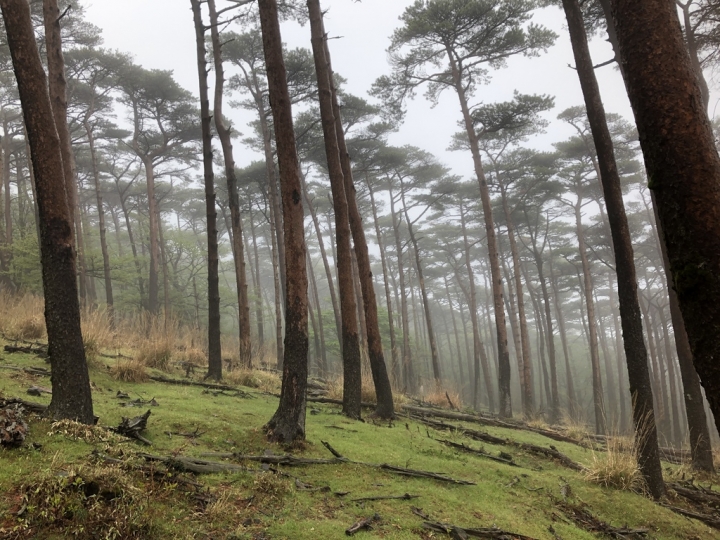 『哪裡好玩』2019 九州之旅// 霧島，秘境之火山湖健行！！1/3