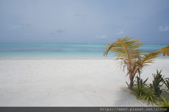 【20190428-20190505馬爾地夫Maldives】Velana機場簡介、馬列快艇、紀念品