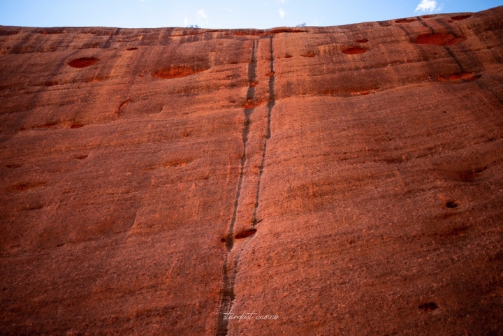 澳洲北領地自駕 Uluru烏魯魯的好朋友—卡塔丘塔瓦帕峽谷 WALPA GORGE