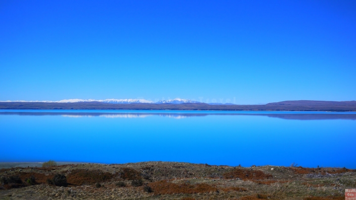【紐西蘭●南島】Lake Pukaki湖往庫克山前的美麗湖景,High Country Salmon鮭魚養殖場