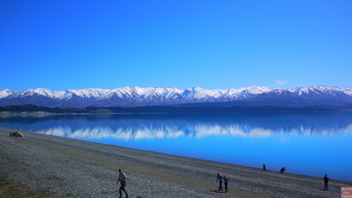 【紐西蘭●南島】Lake Pukaki湖往庫克山前的美麗湖景,High Country Salmon鮭魚養殖場