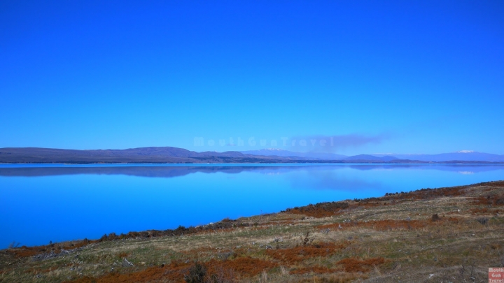 【紐西蘭●南島】Lake Pukaki湖往庫克山前的美麗湖景,High Country Salmon鮭魚養殖場
