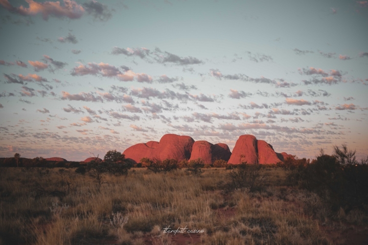 澳洲北領地自駕 Uluru烏魯魯的好朋友—卡塔丘塔瓦帕峽谷 WALPA GORGE