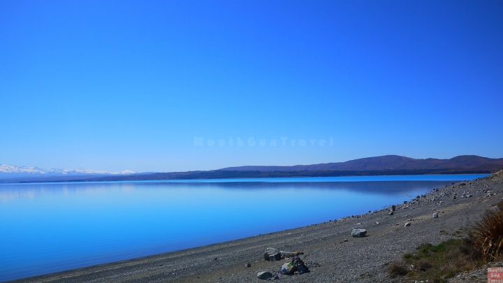 【紐西蘭●南島】Lake Pukaki湖往庫克山前的美麗湖景,High Country Salmon鮭魚養殖場