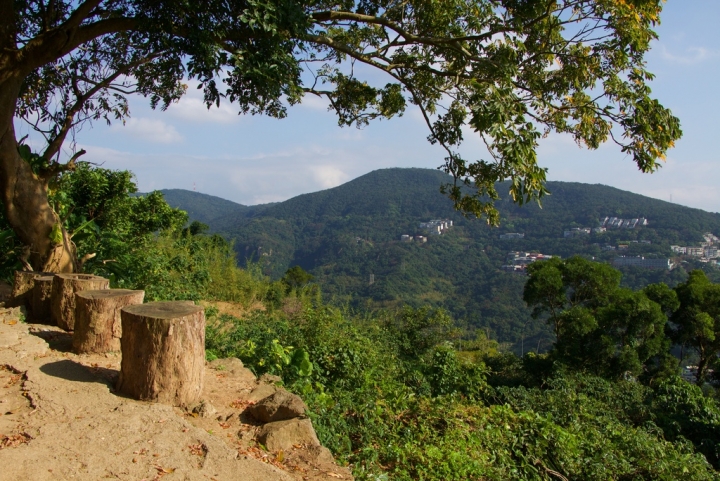 【景點】陽明山狗殷勤古道