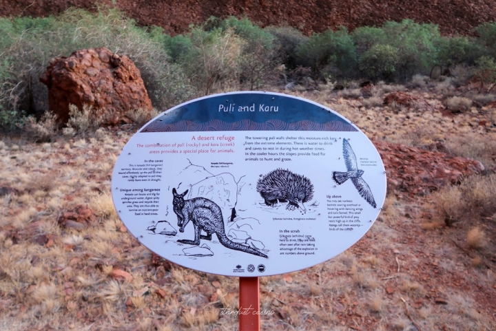 澳洲北領地自駕 Uluru烏魯魯的好朋友—卡塔丘塔瓦帕峽谷 WALPA GORGE