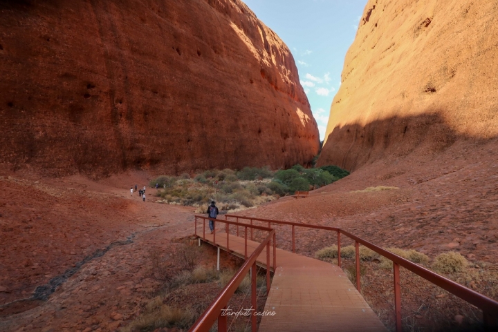 澳洲北領地自駕 Uluru烏魯魯的好朋友—卡塔丘塔瓦帕峽谷 WALPA GORGE