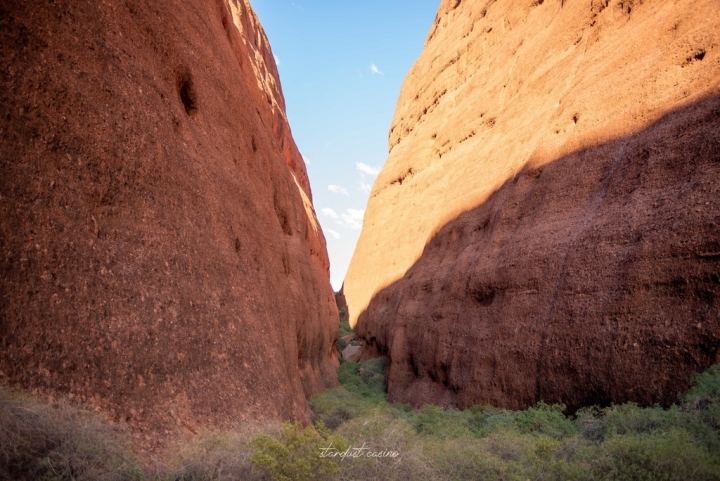 澳洲北領地自駕 Uluru烏魯魯的好朋友—卡塔丘塔瓦帕峽谷 WALPA GORGE