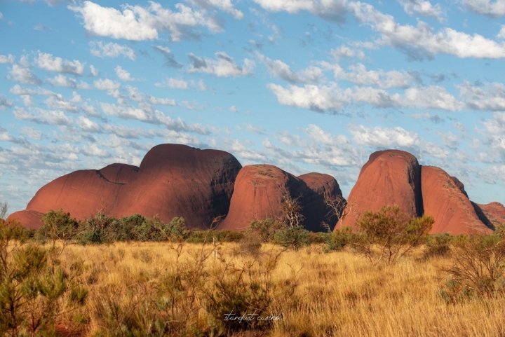 澳洲北領地自駕 Uluru烏魯魯的好朋友—卡塔丘塔瓦帕峽谷 WALPA GORGE