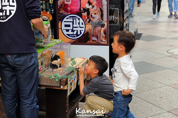[6D | 遊記] 關西親子賞櫻行程 | 櫻花、夜景、動物園，闔家歡樂一次滿足