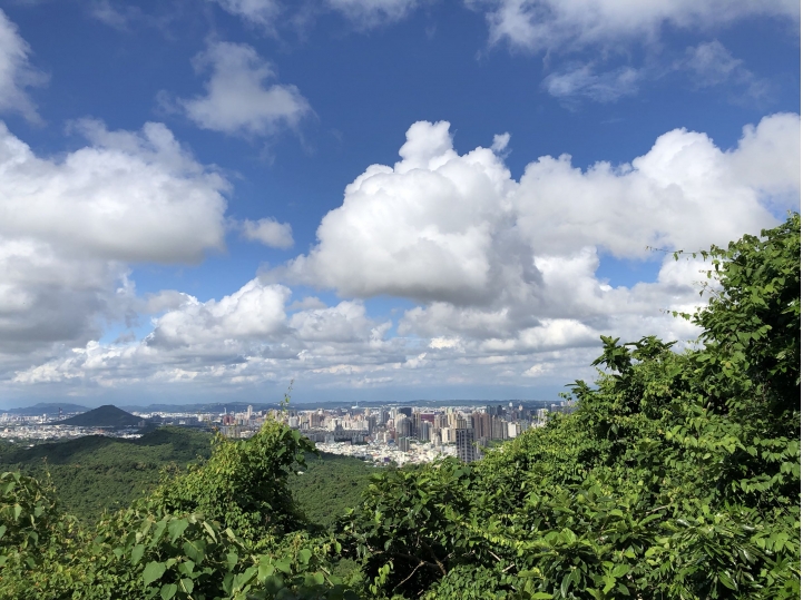 親近高雄大自然,南北壽山縱走(南北柴山)散步行,路線分享!
