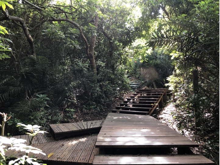 親近高雄大自然,南北壽山縱走(南北柴山)散步行,路線分享!